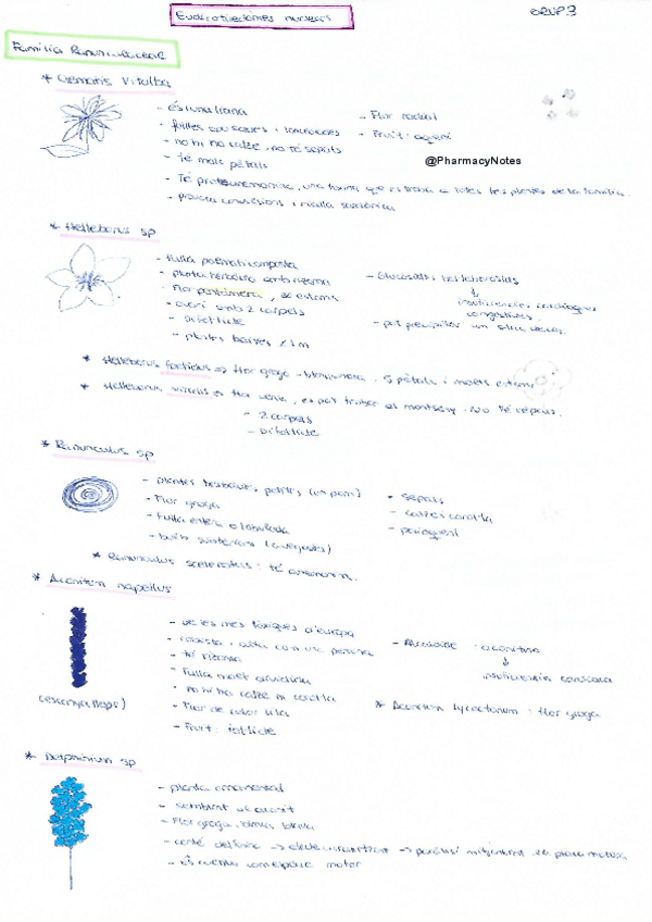 Miniatura del documento Grup 3 Eucotiledònies.pdf
