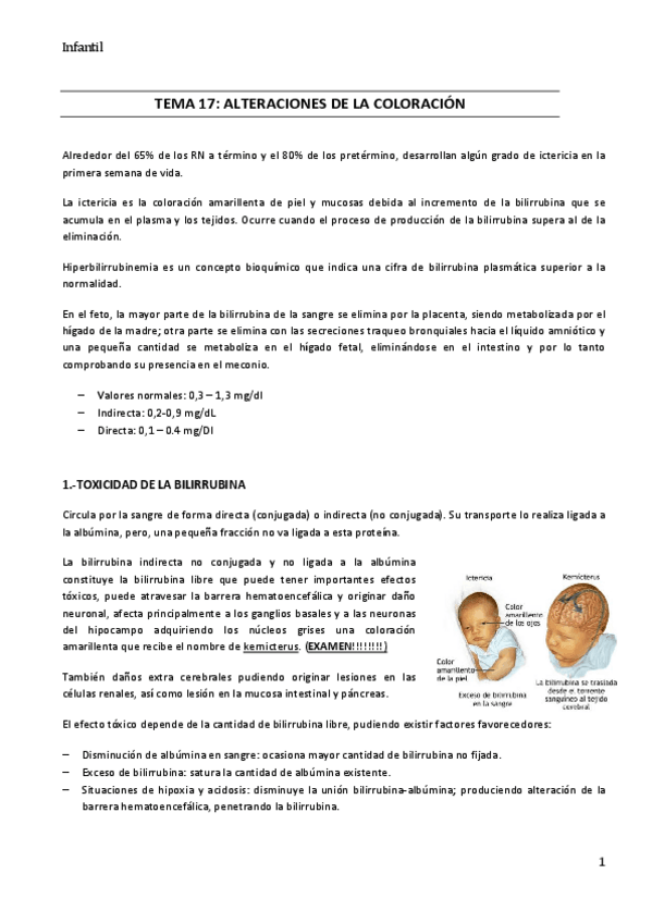 Miniatura del documento 17.pdf