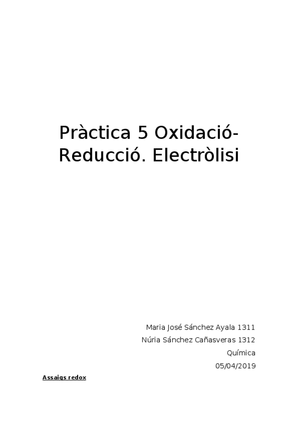 Miniatura del documento P5-quimica.docx