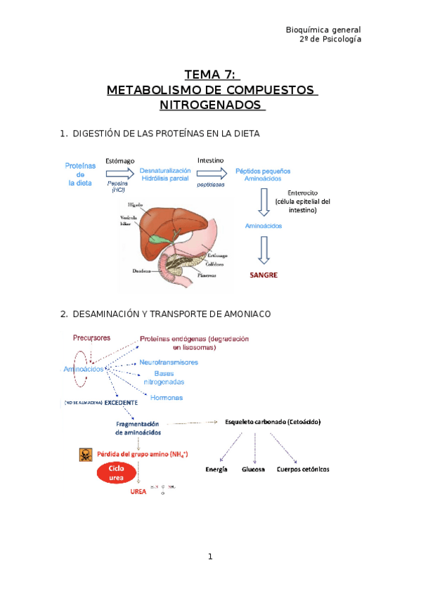 Miniatura del documento TEMA-7.docx
