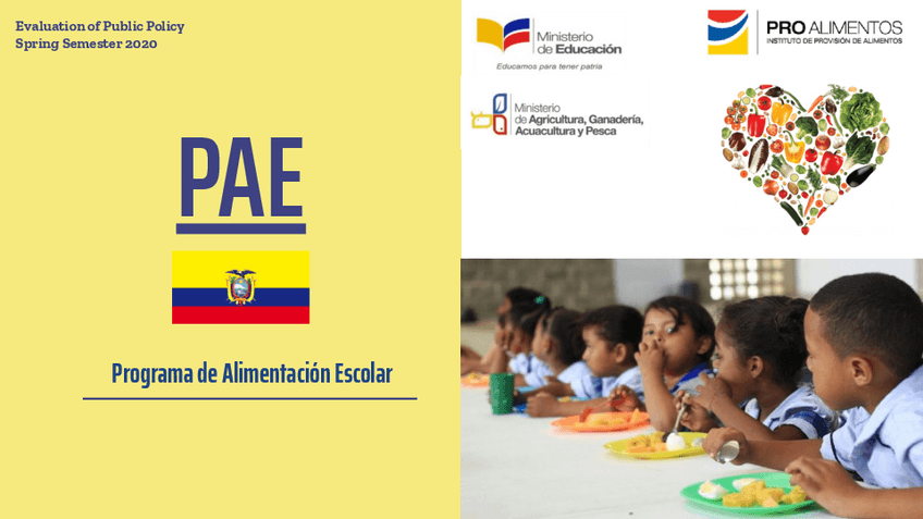 Miniatura del documento PAE-PRESENTATION.pdf