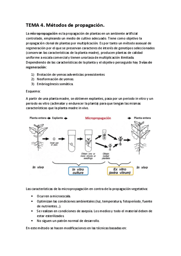 Miniatura del documento TEMA-4-biotec-veg.pdf