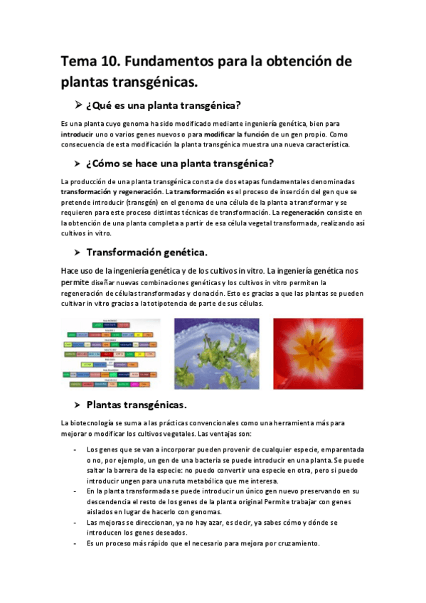 Miniatura del documento tema-10-de-biotec-veg.pdf
