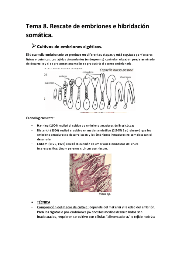 Miniatura del documento tema-8-biotec-veg.pdf