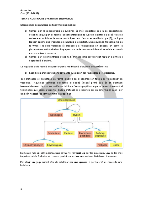 Miniatura del documento apuntstema 5.pdf