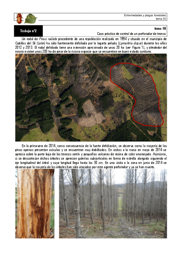 Miniatura del documento trabajosobrecontroldeperforadoresdetronco.pdf