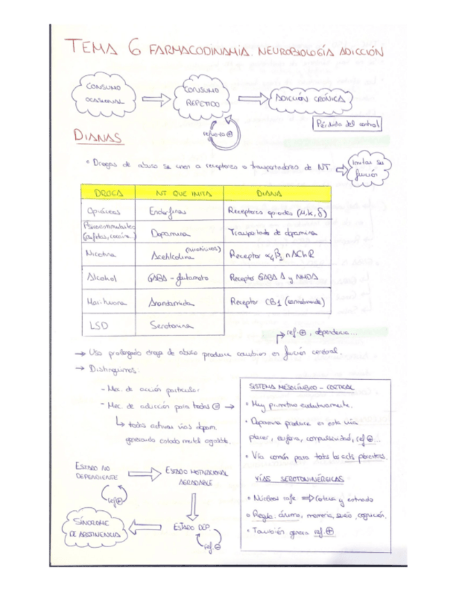 Miniatura del documento T6-Farmacodinamia.pdf