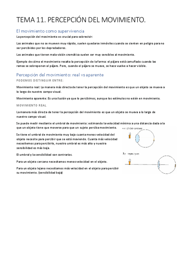 Miniatura del documento TEMA-11.pdf