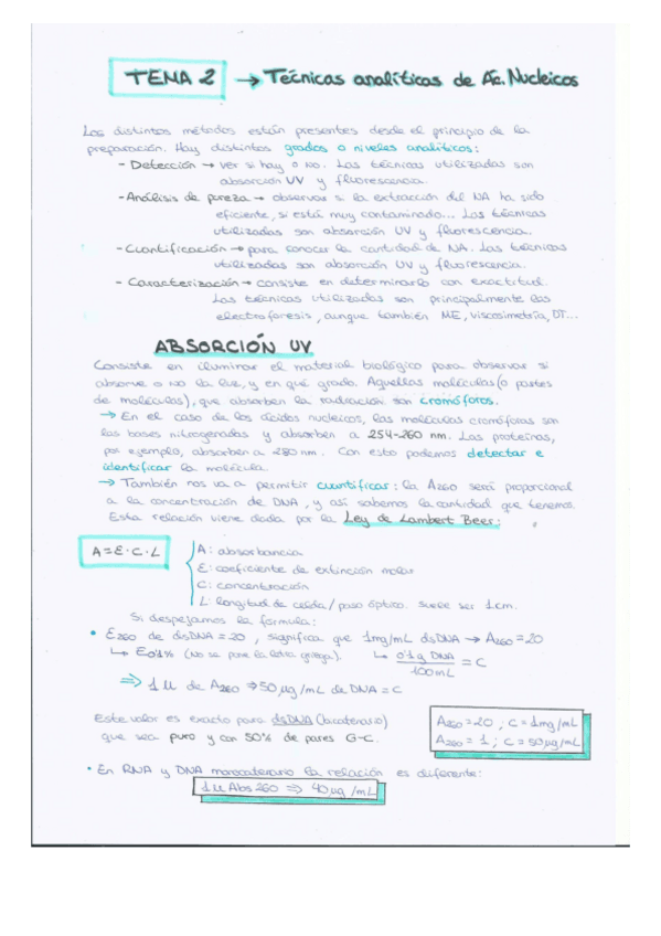 Miniatura del documento TEMA-2-Tecnicas-analiticas-de-acidos-nucleicos.pdf