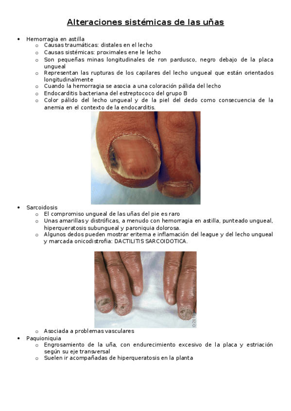 Miniatura del documento 04.docx