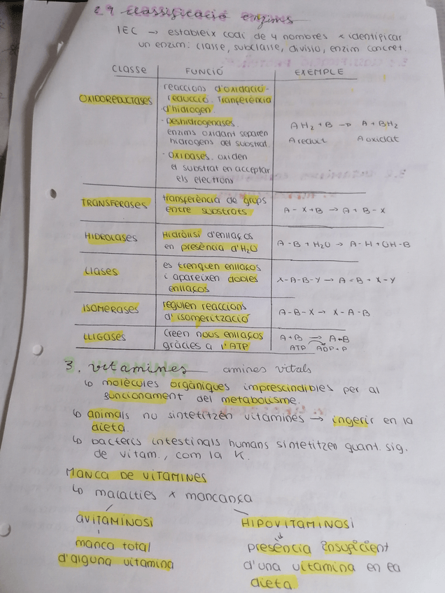 Miniatura del documento IMG20200706175210.jpg