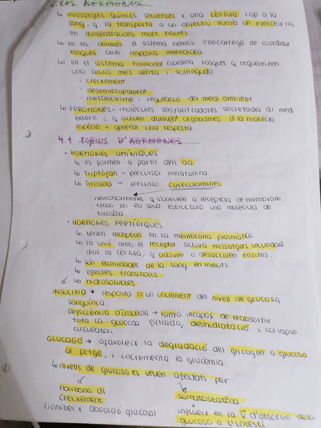Miniatura del documento IMG20200706175335.jpg