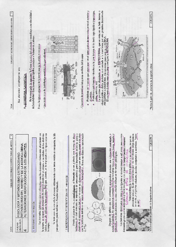 Miniatura del documento T4.pdf