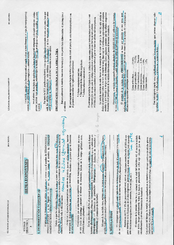 Miniatura del documento T3.pdf