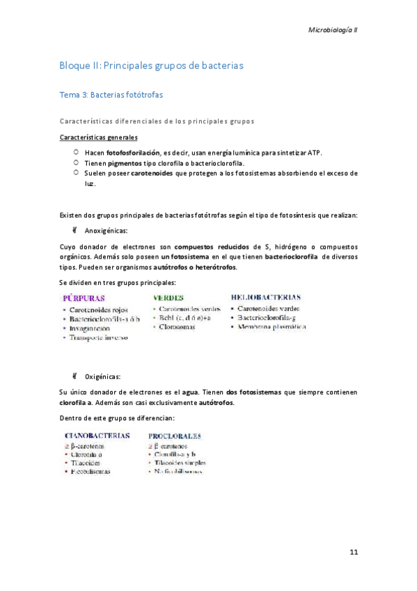 Miniatura del documento Bloque II.pdf