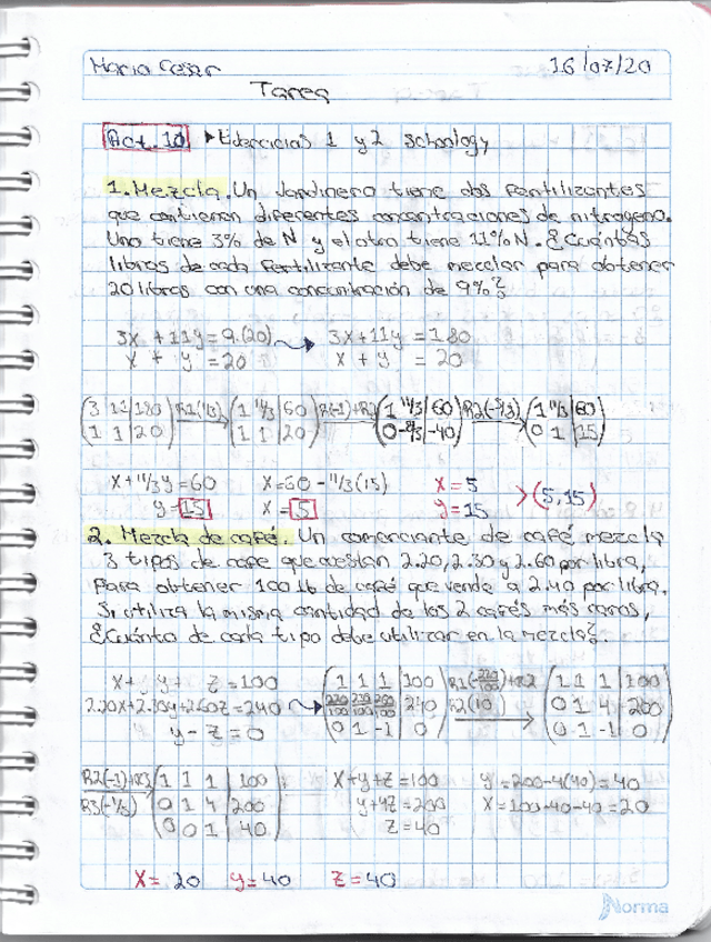 Miniatura del documento Act10-15.pdf