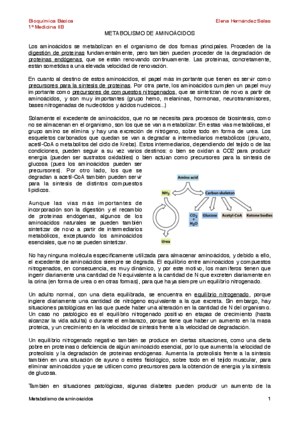Miniatura del documento Metabolismo de aminoácidos.pdf