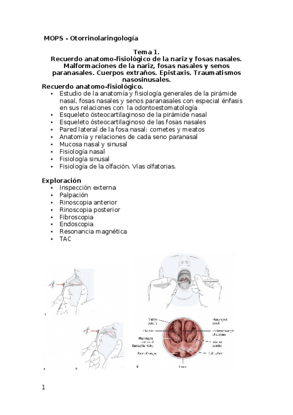 Miniatura del documento otorrino-1.docx
