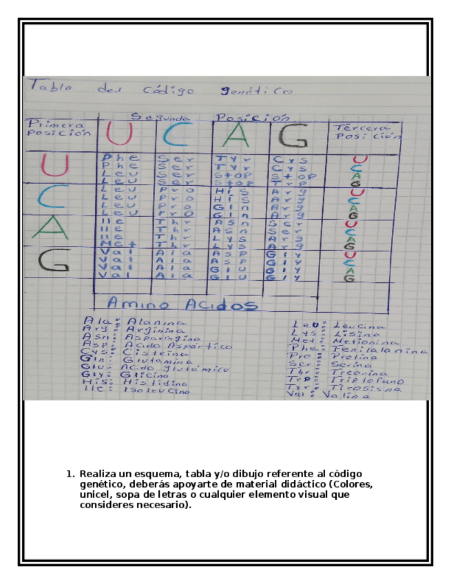 Miniatura del documento BBM1U1A2LUCY.docx