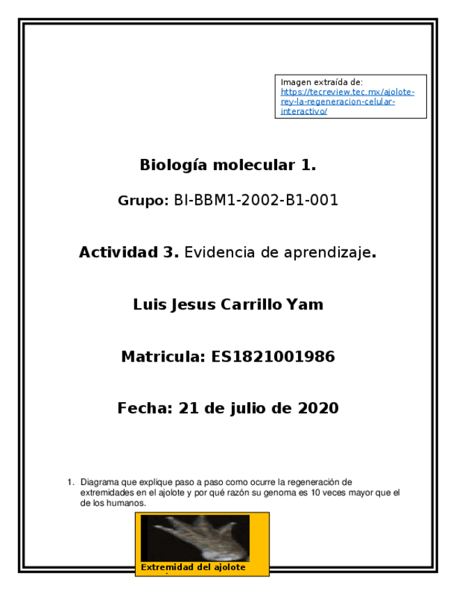 Miniatura del documento BBM1U1EALUCY.docx