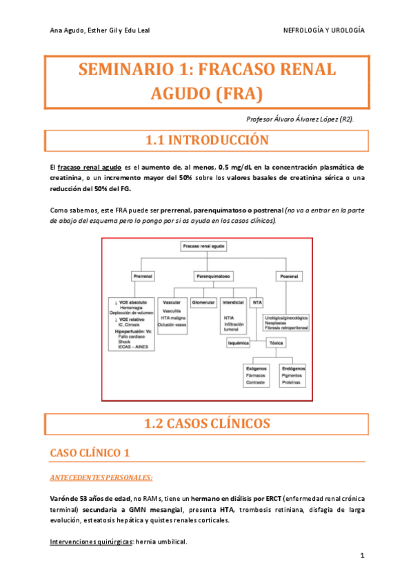 Miniatura del documento NEFRO-SEMINARIO-1.pdf