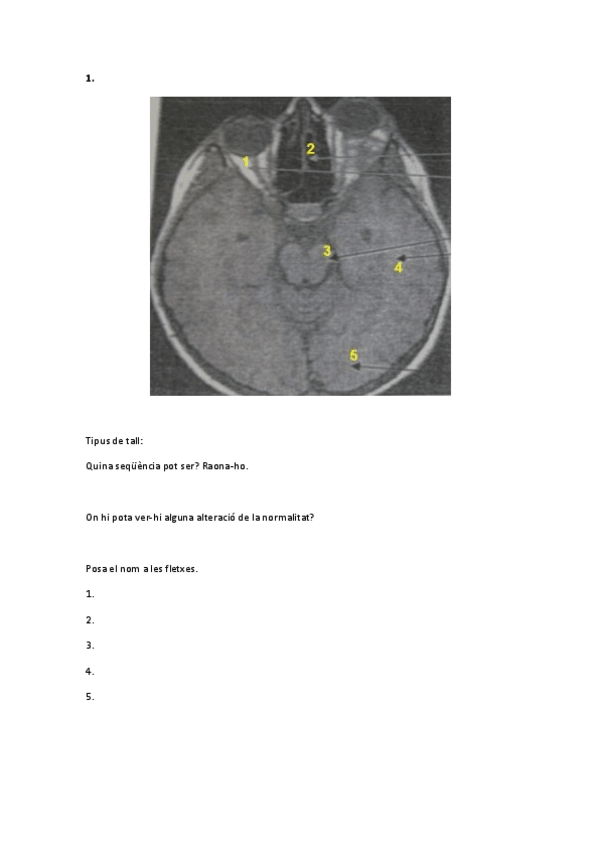 Miniatura del documento RMN-2n-Ex.pdf