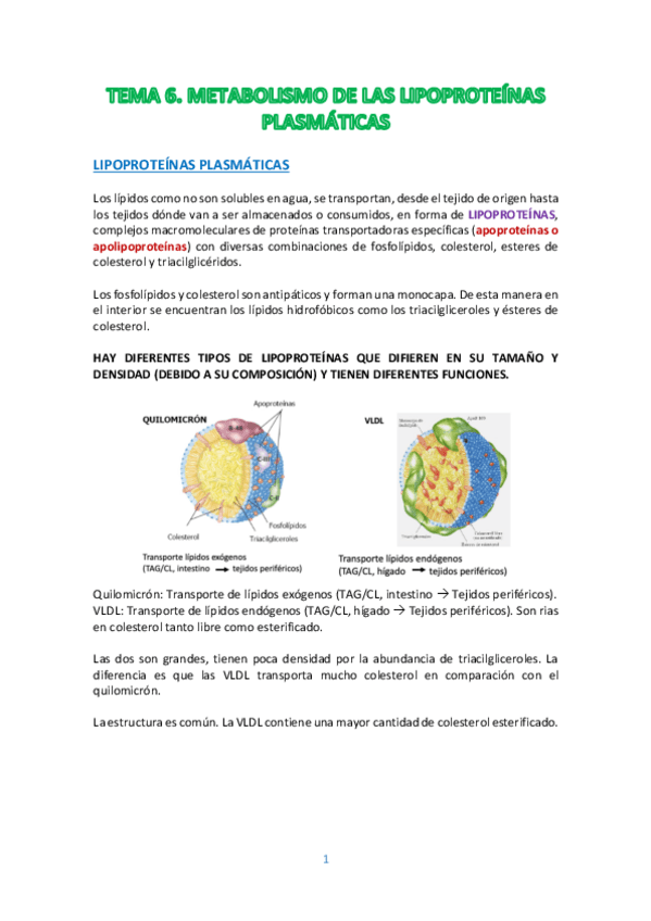 Miniatura del documento TEMA-6.pdf