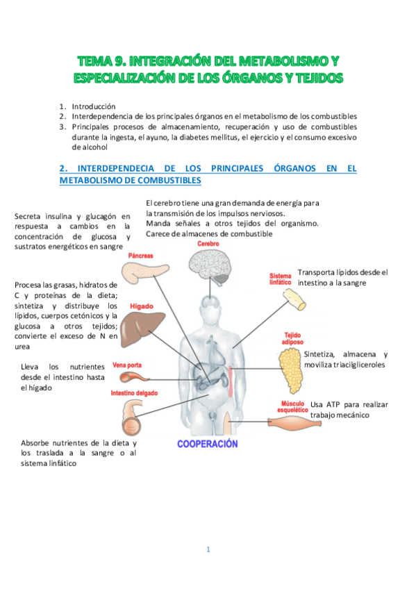 Miniatura del documento TEMA-9.pdf