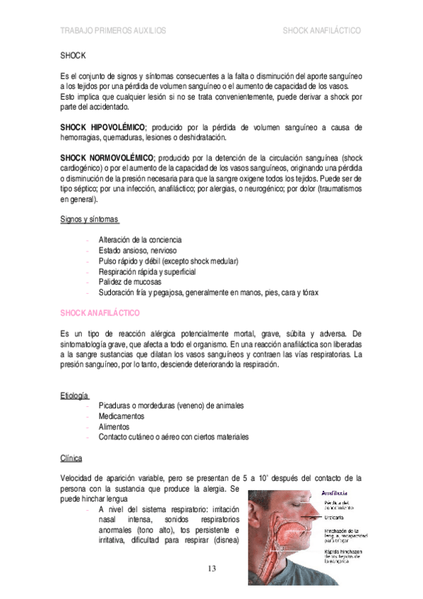 Miniatura del documento SHOCK.doc