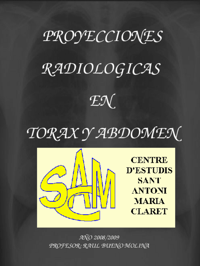 Miniatura del documento apuntesdetorax.ppt