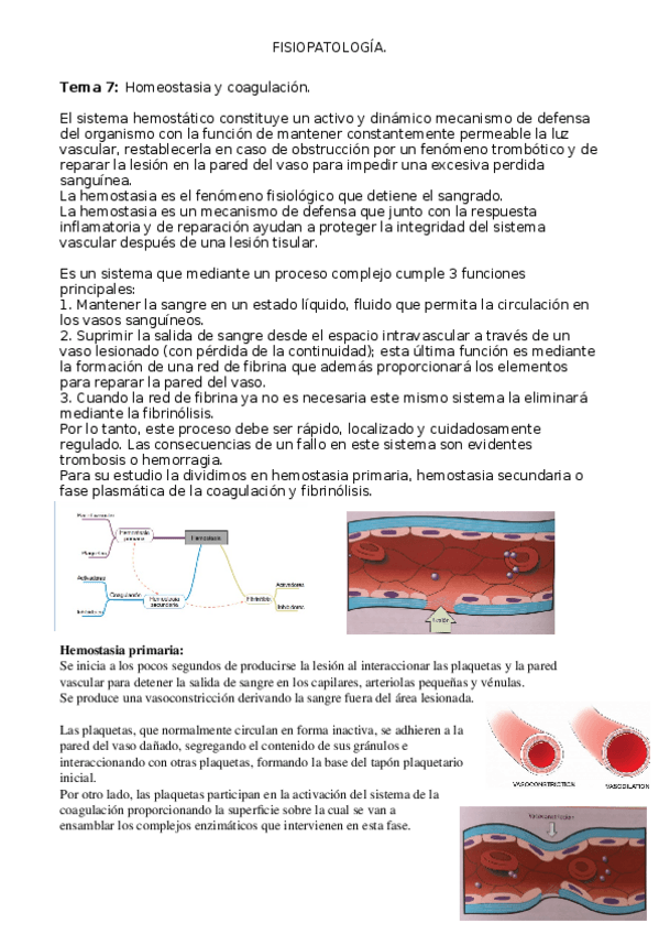 Miniatura del documento Tema-7.docx
