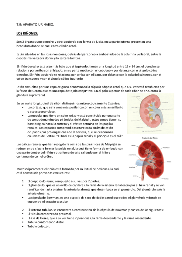 Miniatura del documento TEMA-9.pdf