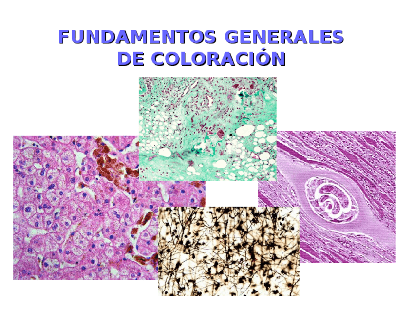 Miniatura del documento Tema-6.ppt