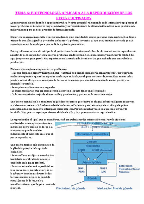 Miniatura del documento TEMA-6.pdf