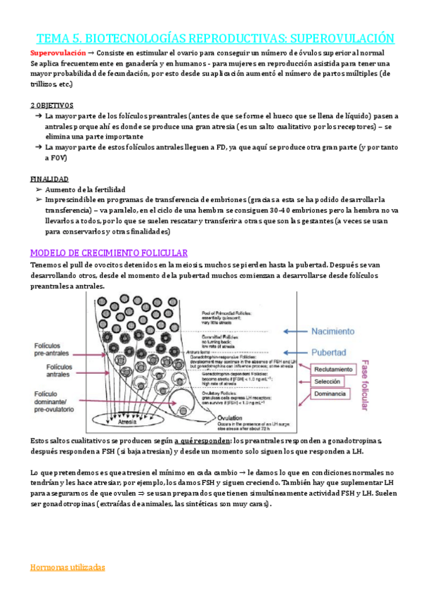 Miniatura del documento TEMA-5.pdf