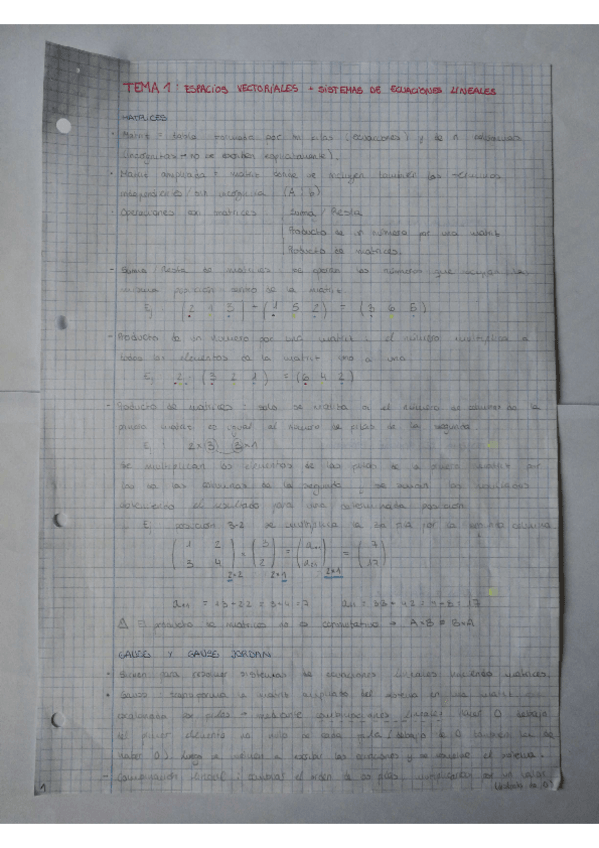 Miniatura del documento Resumen-Temario-Completo.pdf