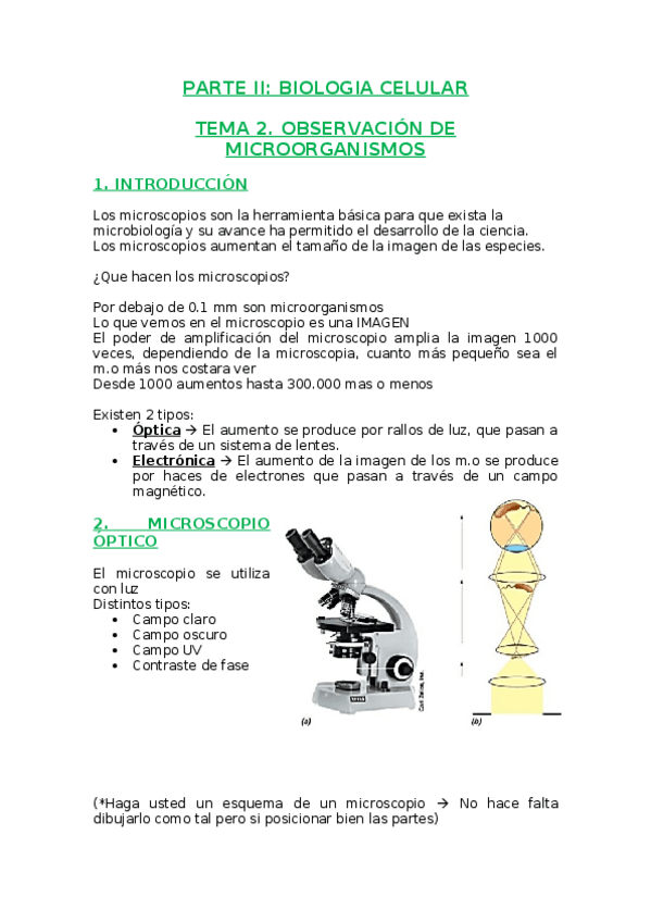 Miniatura del documento PARTE-II-TEMAS-2y3.docx