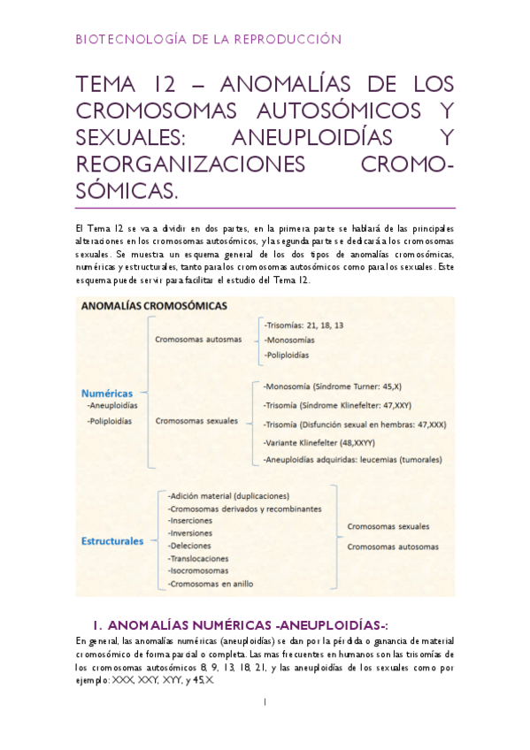 Miniatura del documento Tema-13-pdf.pdf