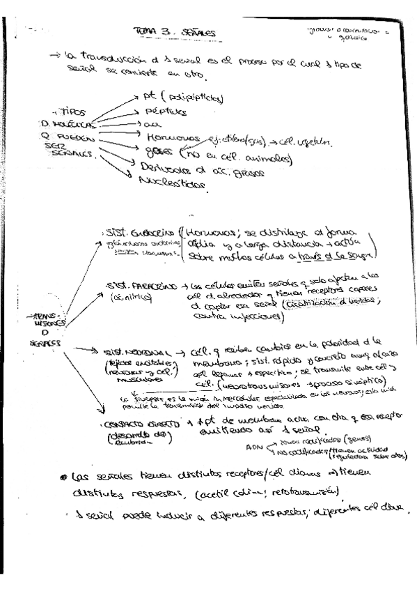 Miniatura del documento tema 3.pdf