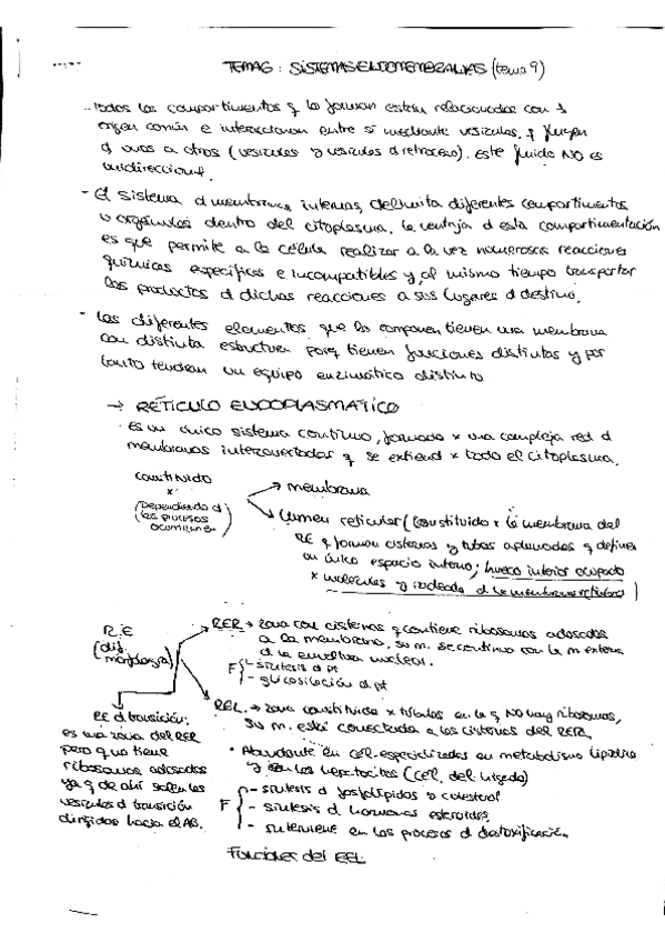 Miniatura del documento tema 6.pdf