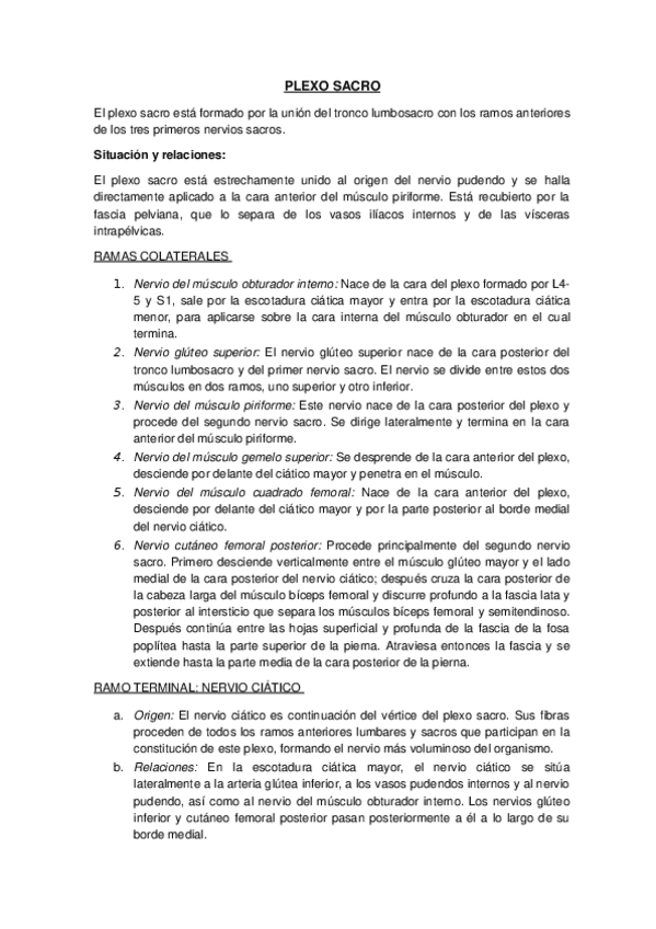 Miniatura del documento PLEXO-SACRO.docx