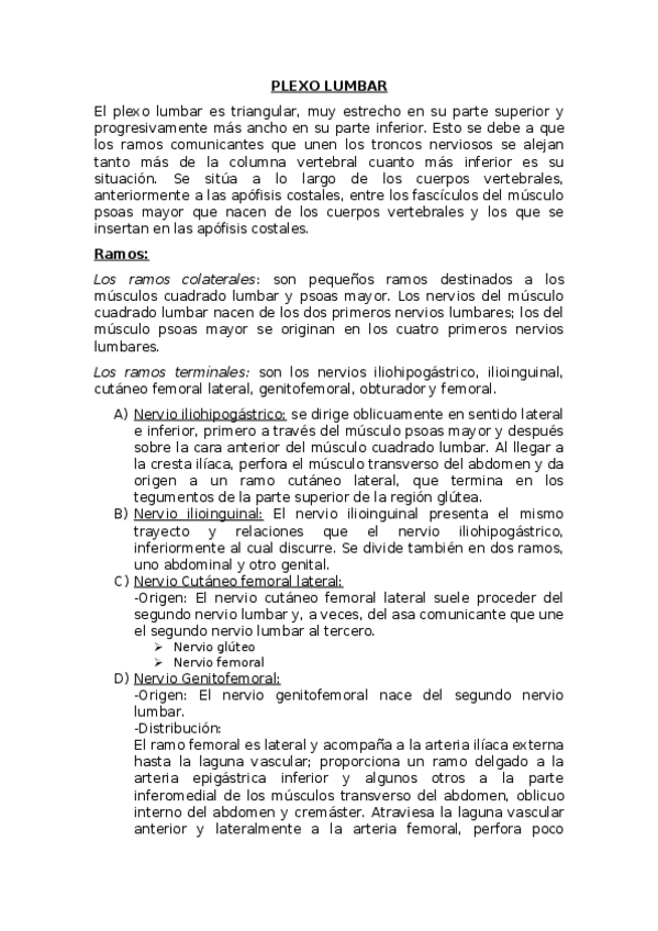 Miniatura del documento PLEXO-LUMBAR.docx