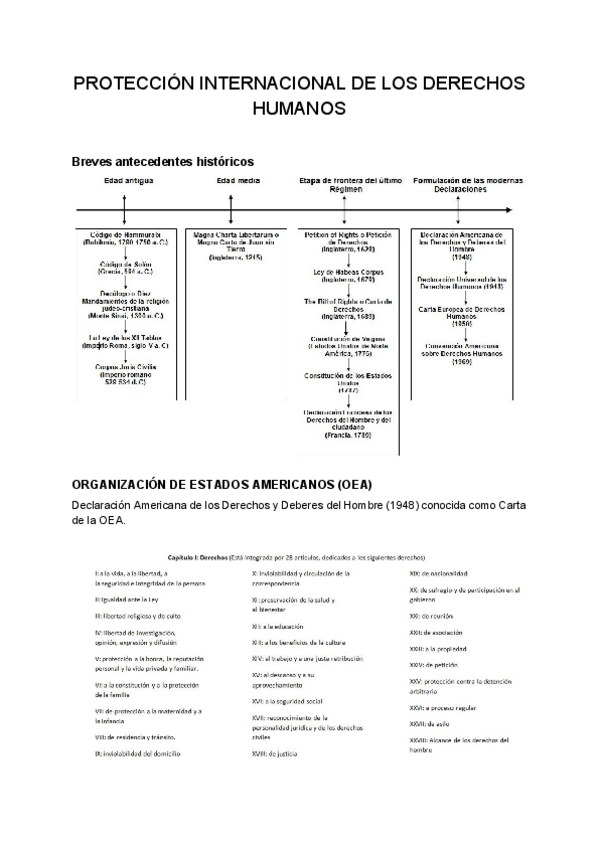 Miniatura del documento TEMA-6-DDHH.pdf