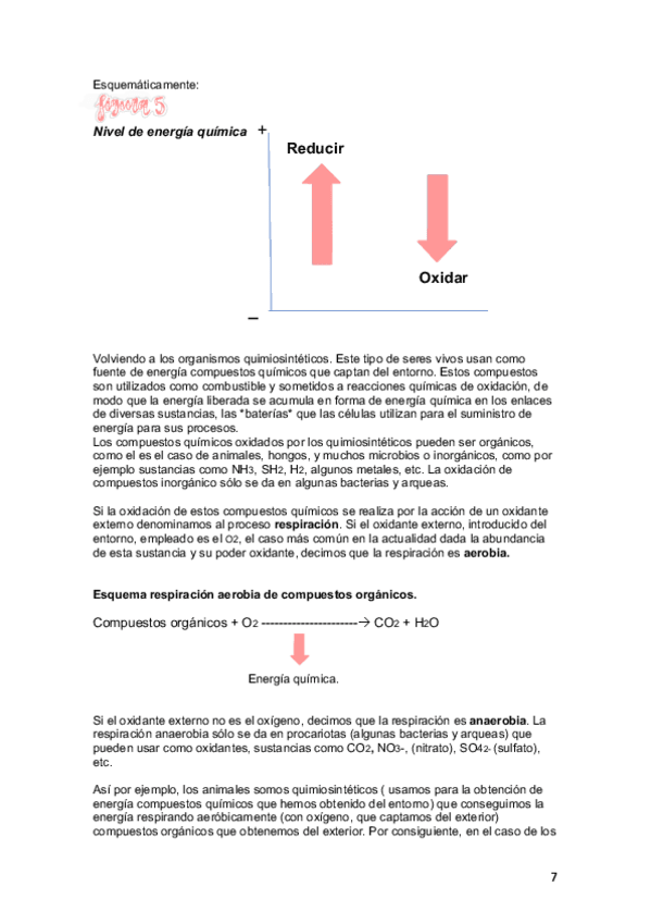 Miniatura del documento BioNutr1oBach-6.pdf