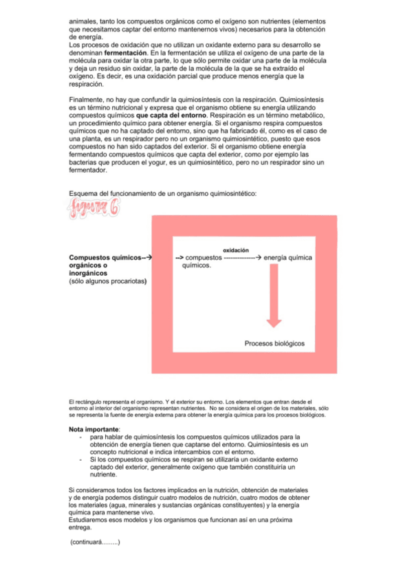 Miniatura del documento BioNutr1oBach-7.pdf