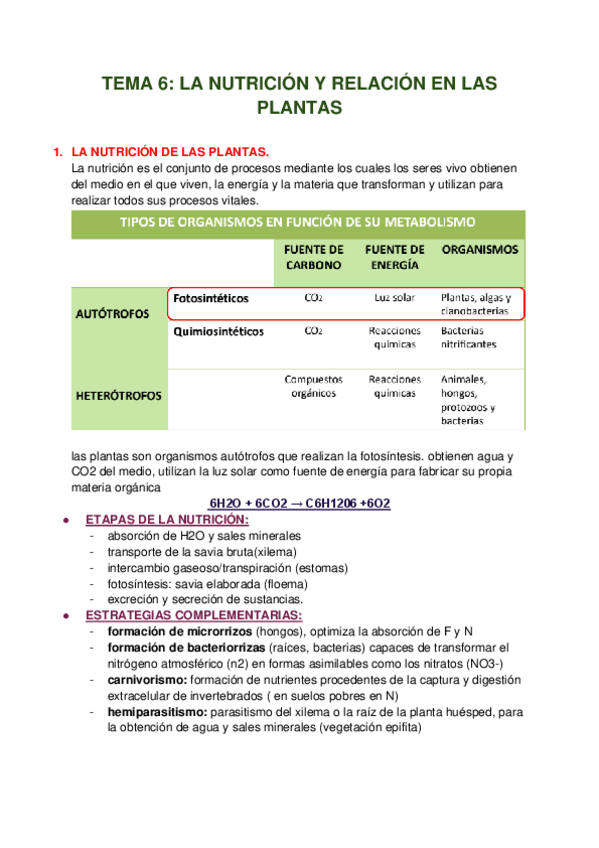 Miniatura del documento TEMA-6-LA-NUTRICION-Y-RELACION-EN-LAS-PLANTAS.pdf