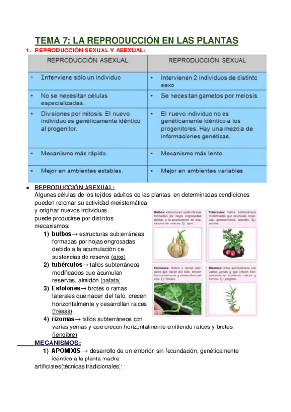 Miniatura del documento TEMA-7-LA-REPRODUCCION-EN-LAS-PLANTAS.pdf