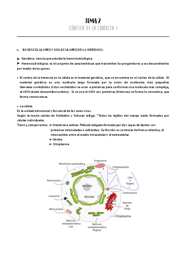 Miniatura del documento tema-2-psicobio.pdf