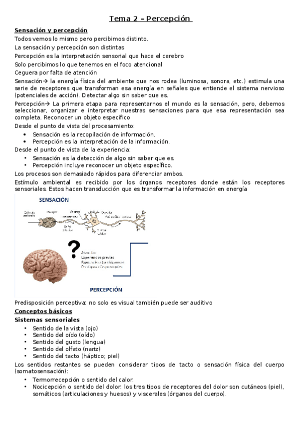 Miniatura del documento Apuntes-Neuropsicologia-cognitiva.docx