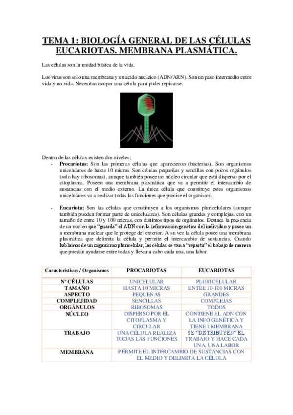 Miniatura del documento TEMA-1-MEMBRANA-PLASMATICA.pdf